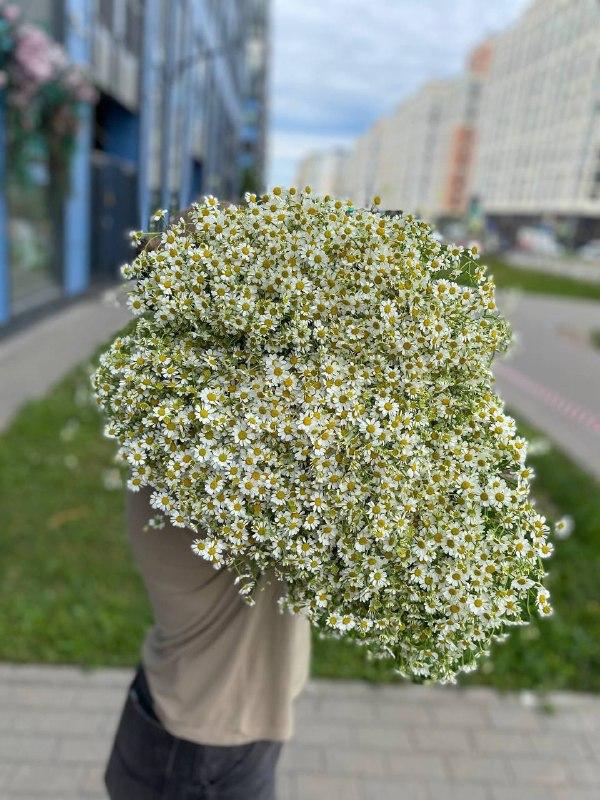 Давно не виделись — фото 5