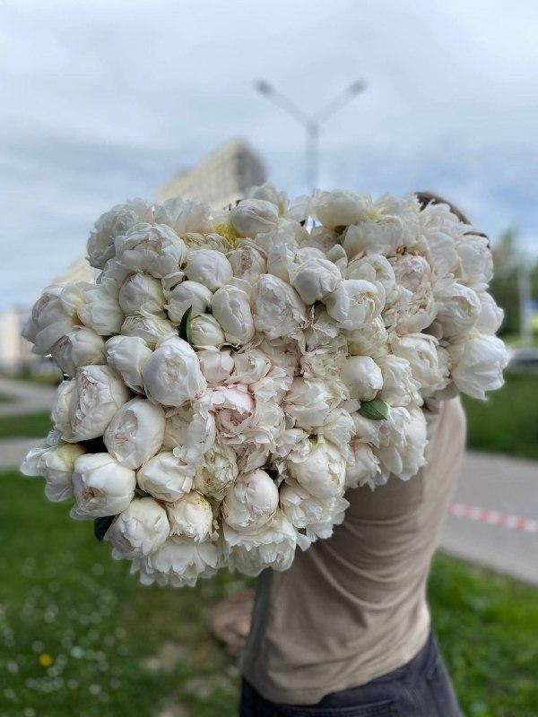 Давно не виделись — фото 4